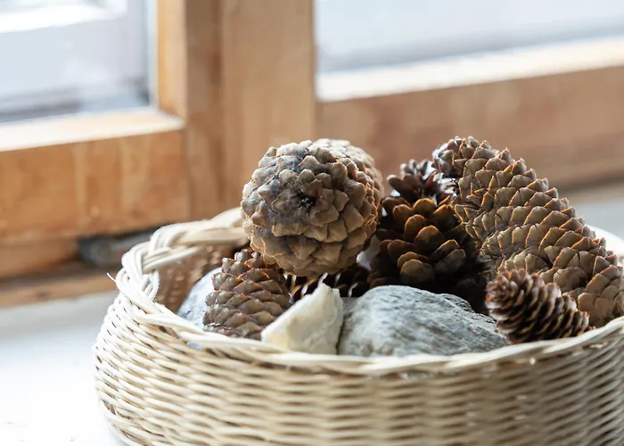 Apartamento Chesa-strimer - *