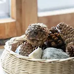 Apartmán Chesa-strimer - *
